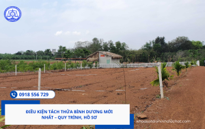 Điều kiện tách thửa Bình Dương mới nhất – Quy trình, hồ sơ